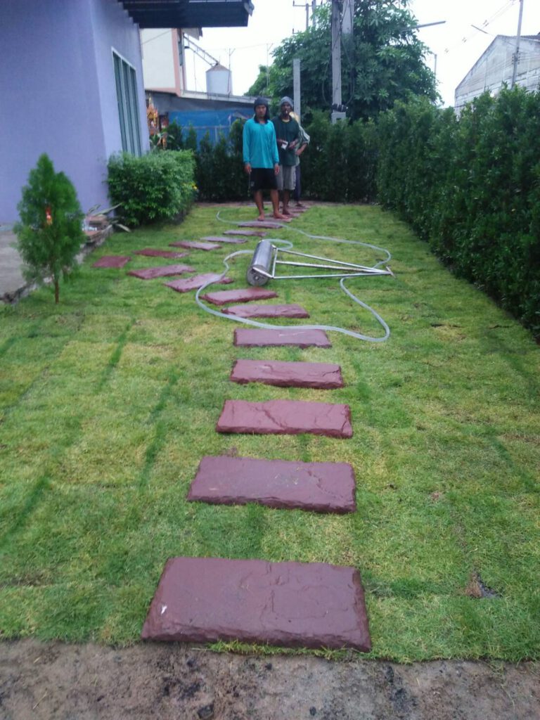 จัดสวนต้นไทร