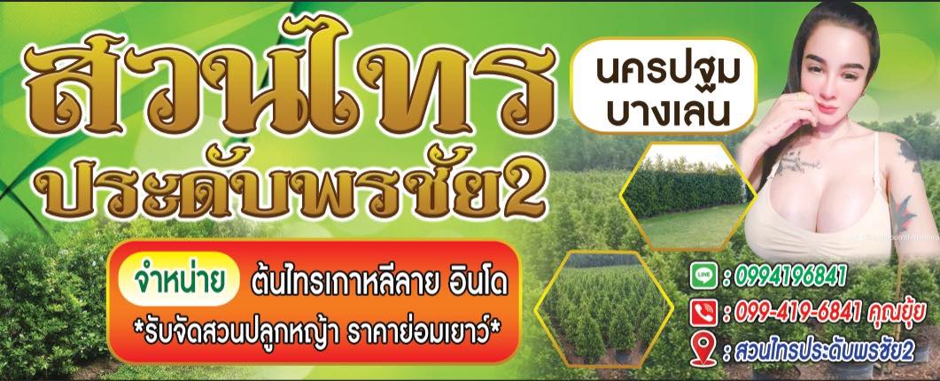 สวนไทรประดับพรชัย2 สวนไทรประดับพรชัย2